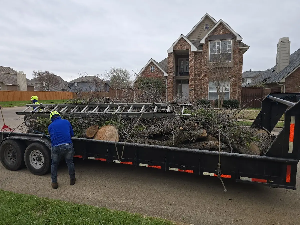 Expert Lot Clearing with proper safety equipment in Glen Haven